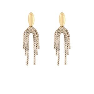 Oval & Fringe Earrings